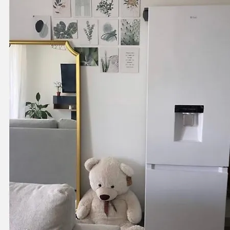 Appartement Cosy Et Bien Equipe